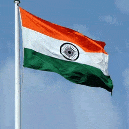 Indian flag